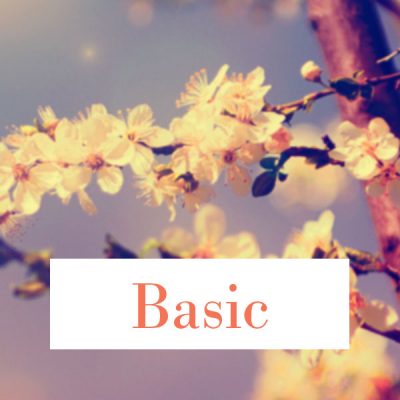 Cremation Packages: Basic