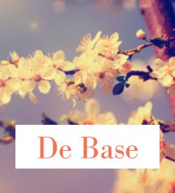 Forfait crémation de base