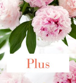 Forfait crémation plus