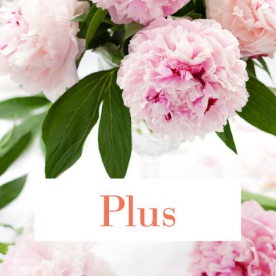 Forfait crémation plus