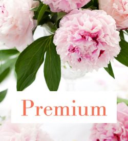 Cremation packages: Premium