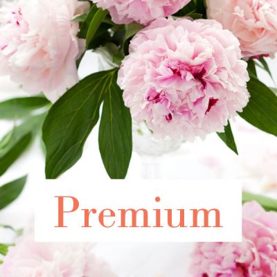 Cremation packages: Premium