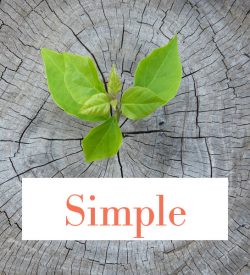 Cremation Packages: Simple