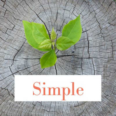 Cremation Packages: Simple